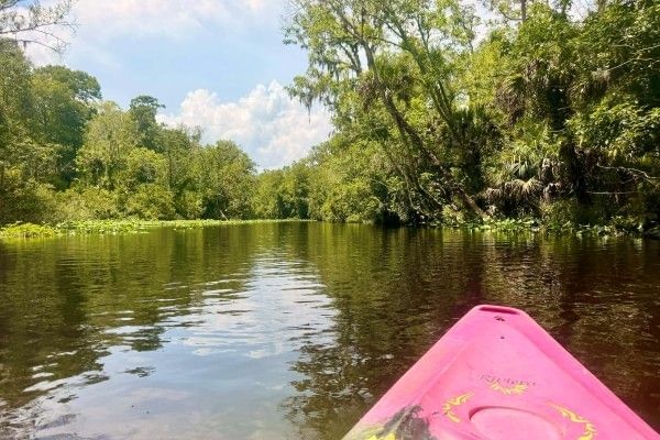 The front of a pink kayak on Wekiva River surrounded by green trees and blue sky.