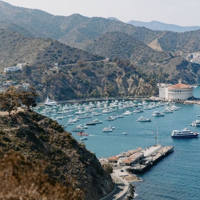 Catalina Island
