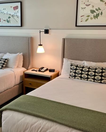 Mountain View Room with two double beds