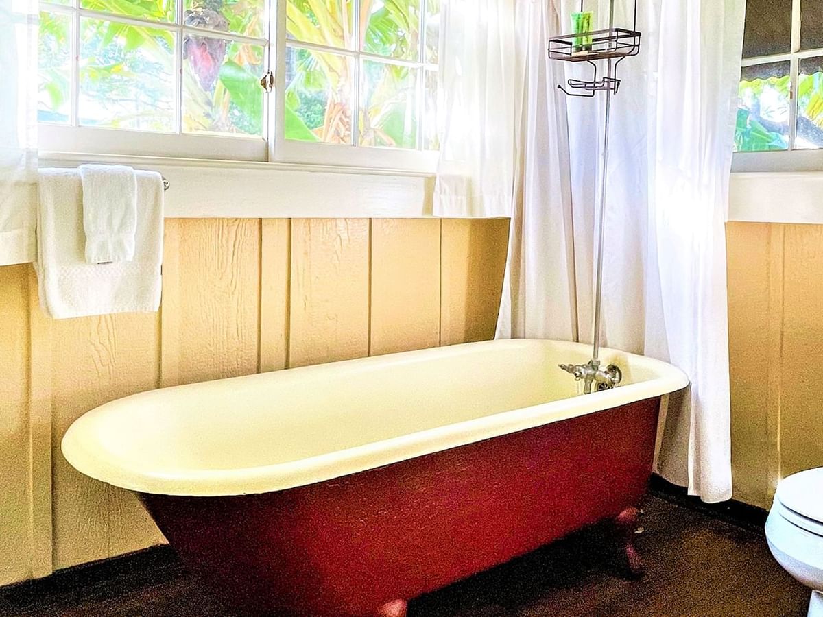 Washroom with bathtub and toilet