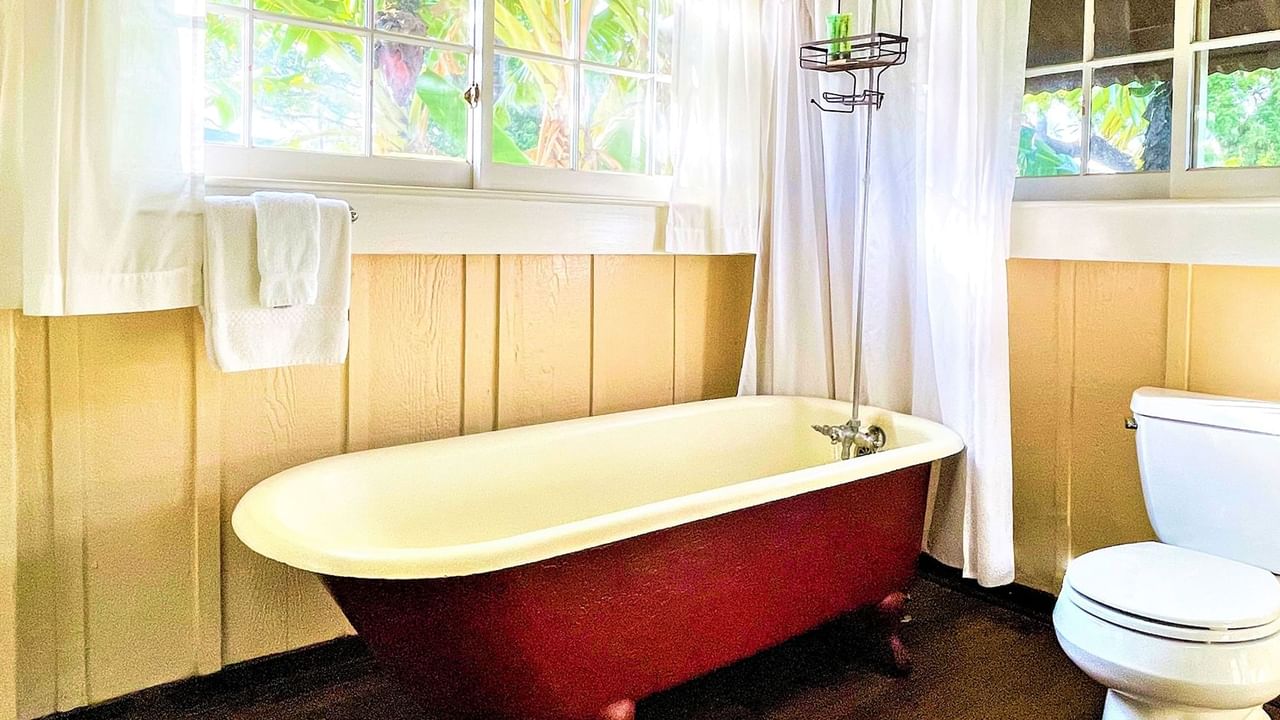 Washroom with bathtub and toilet