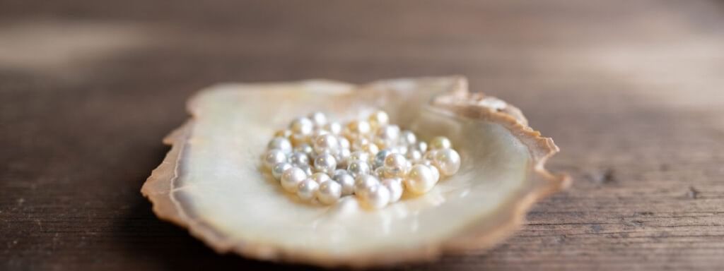 Oyster Bay Pearl Farm