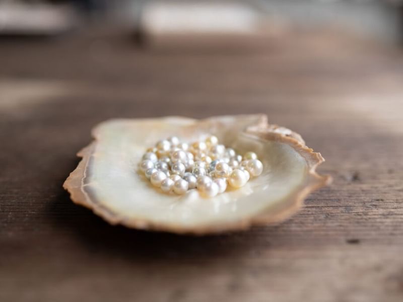 Oyster Bay Pearl Farm