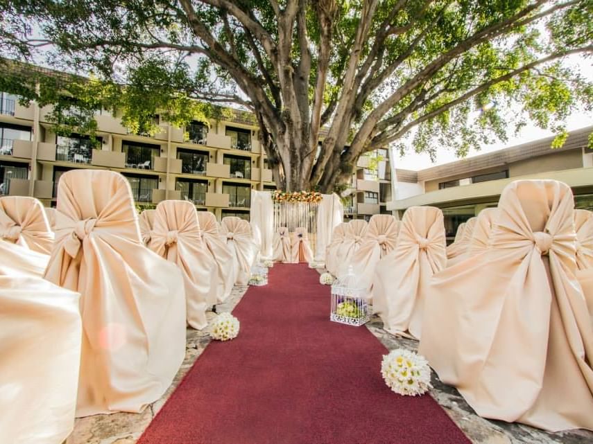 Recepción de boda al aire libre con sillas decorativas doradas debajo de un árbol en el espacio al aire libre del Hotel Irazú
