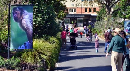 People in Melbourne Zoo near the Crown Hotels Melbourne