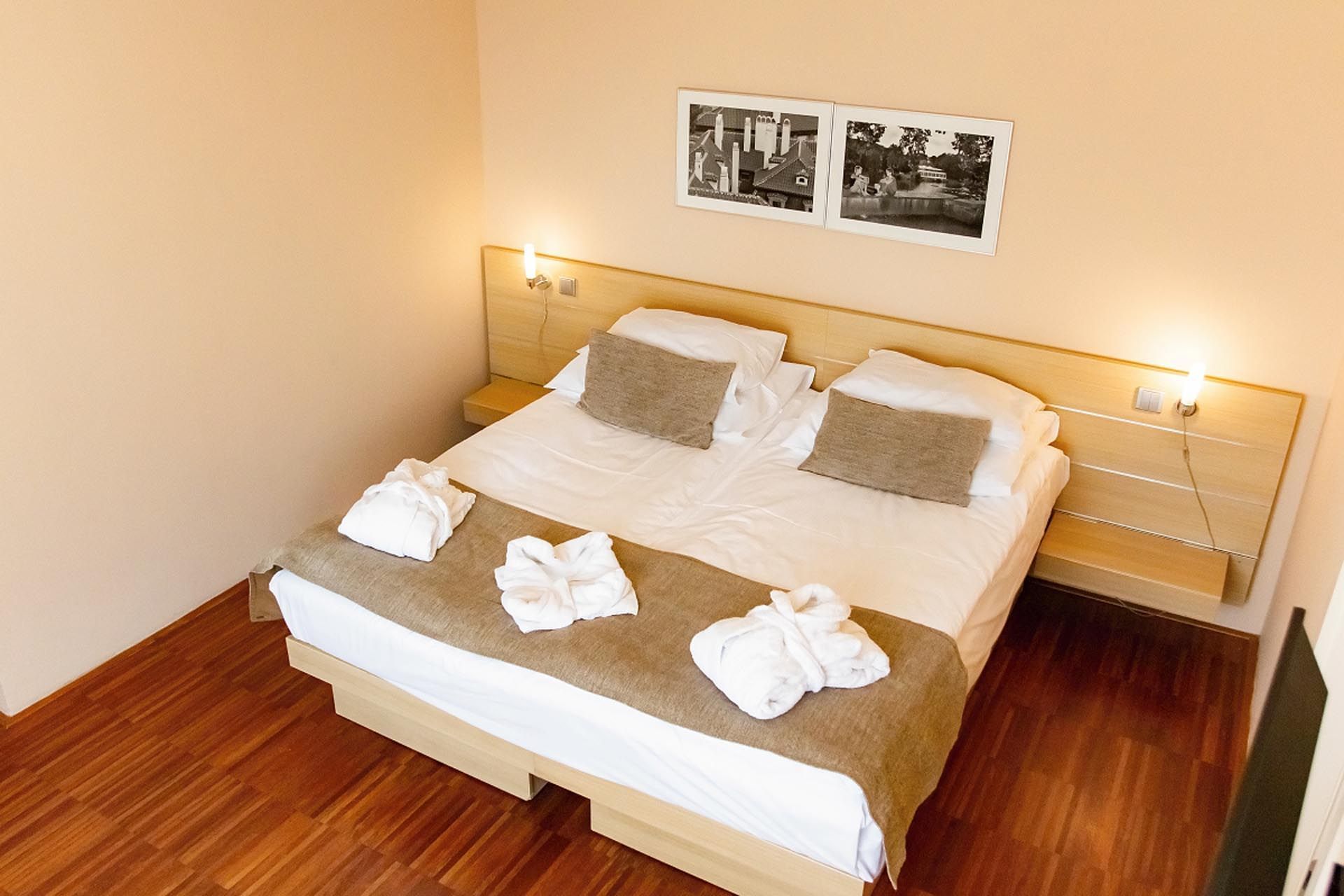 Superior Room with one bed at Hotel Amarilis