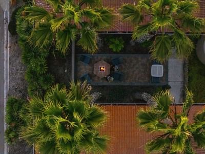 Aerial of fire pit and palm trees