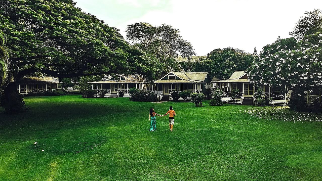 Two people holding hands in the grass with cottages in the background.