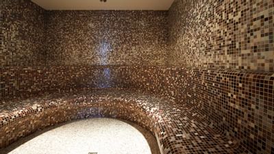 Detoxification Treatment Spa at Ana Hotels Sport``