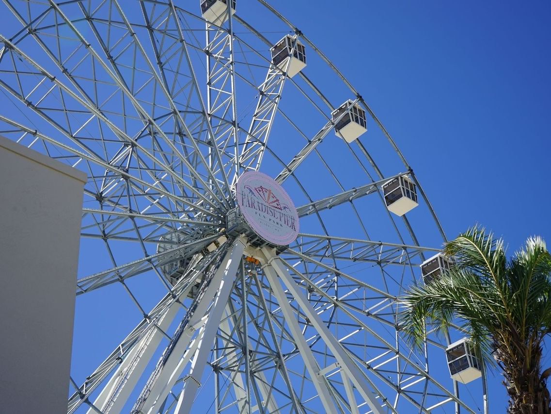 Low-angle view of a large Ferris wheel against a blue sky with palm fronds in Paradise Pier Fun Park near The Markham Hotel
