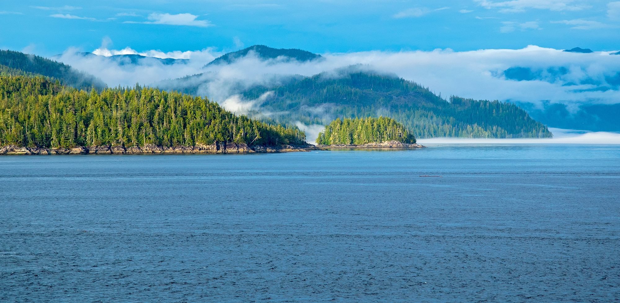 ocean with mountains and trees in the background