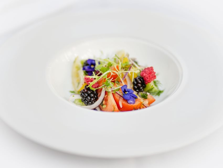 Gourmet salad on a white plate featuring tomatoes, berries, and fresh herbs served in Tudors Restaurant at Marygreen Manor