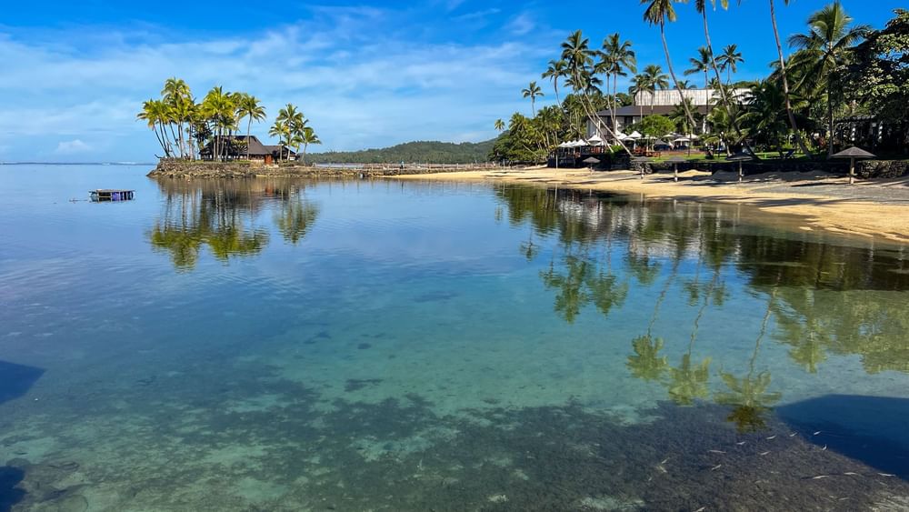 Clear water meets sandy beach lined with palm trees at Warwick Fiji Resort and Spa in Korolevu.