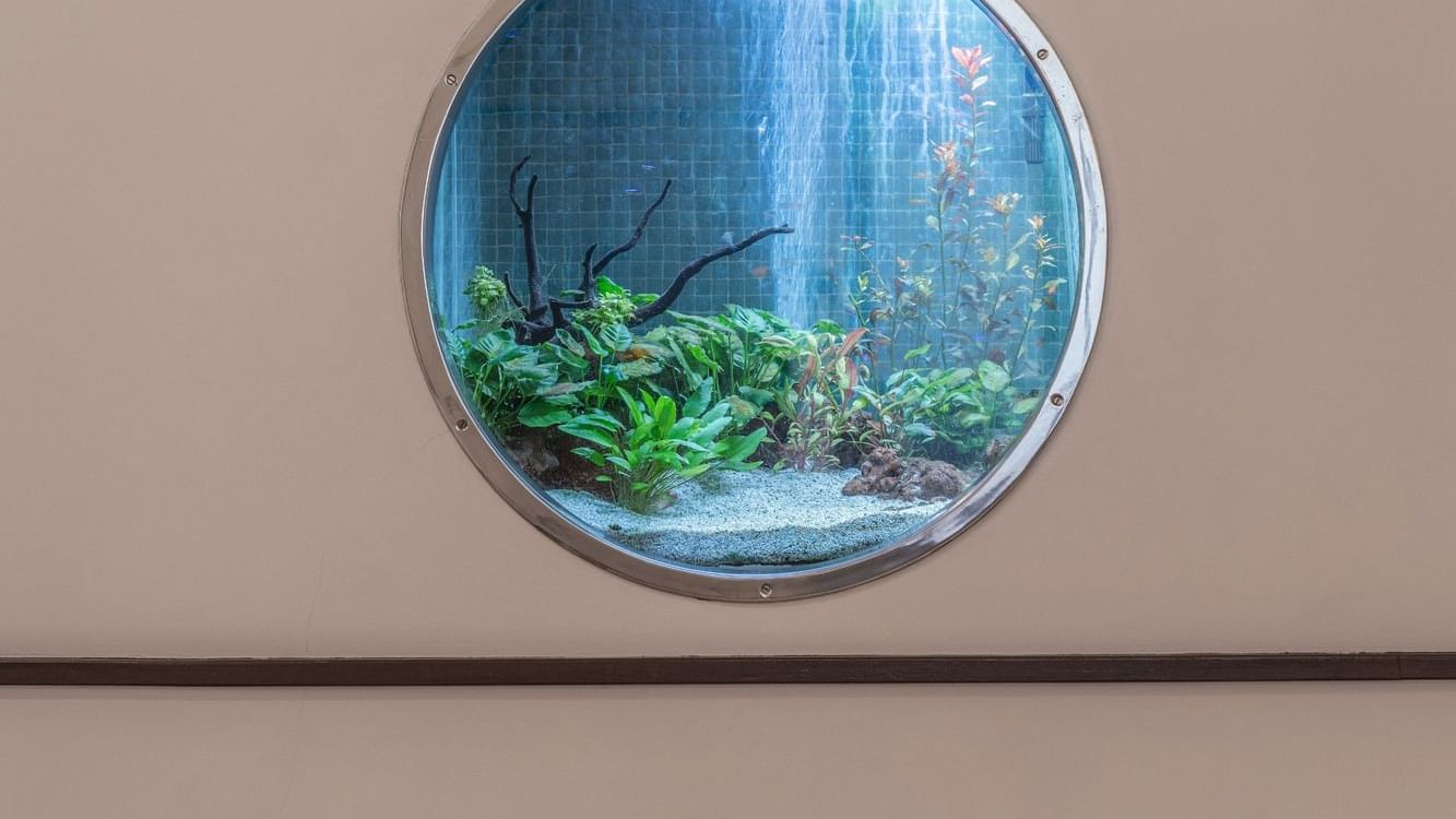 Mini garden in a circular window at Bensaude Hotels Collection