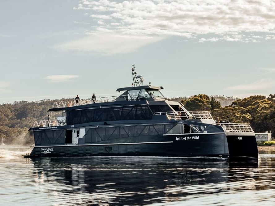 Cruise ship experience in Gordon River near Gordon River Cruise