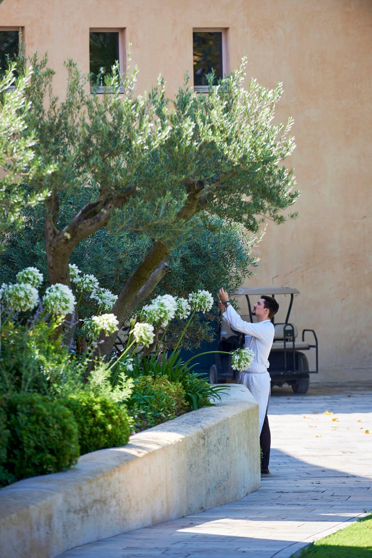 Man plucking flowers in garden at Domaine de Manville