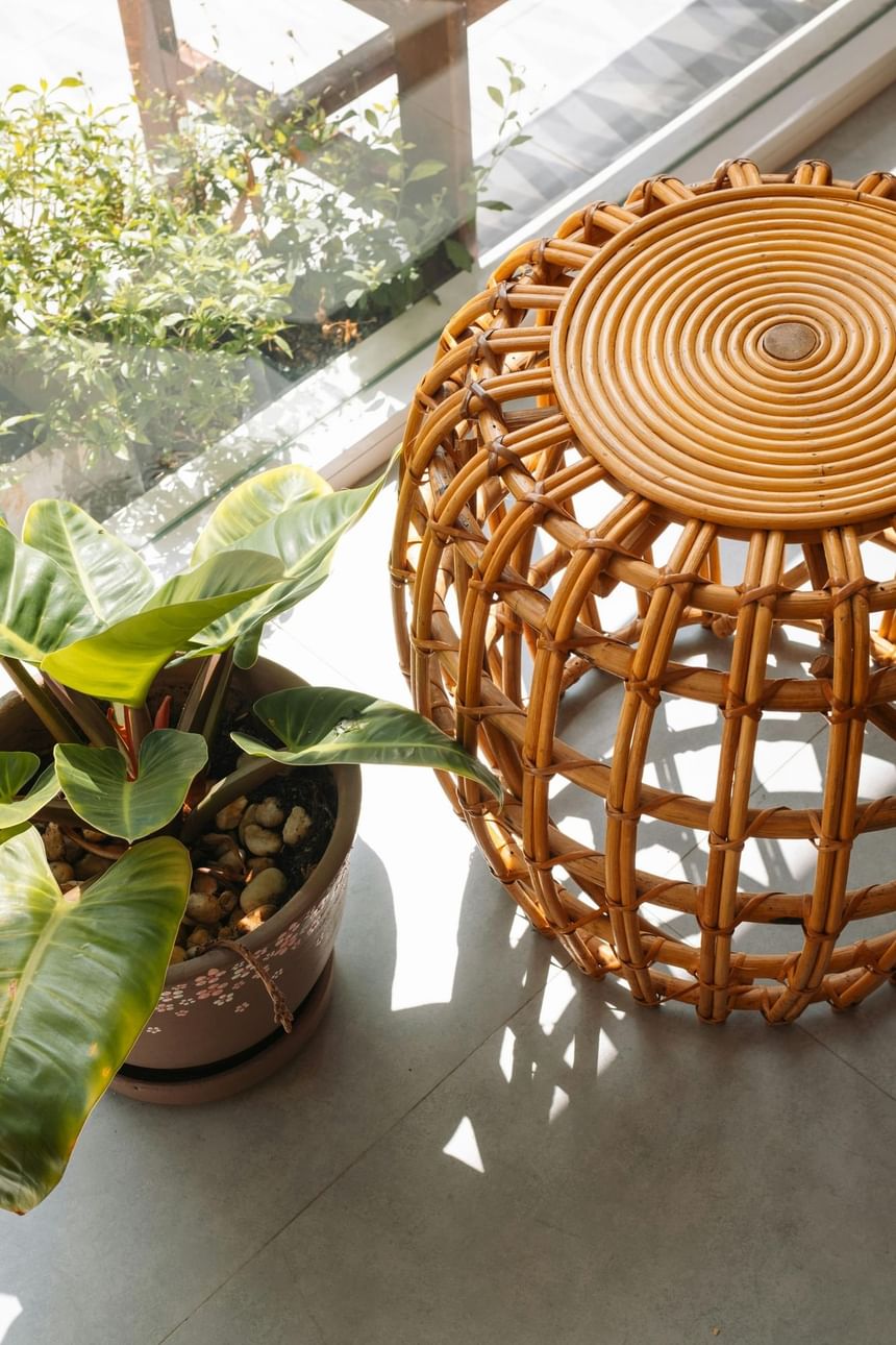 A round bamboo stool next to a potted plant at Hotel Brookmere