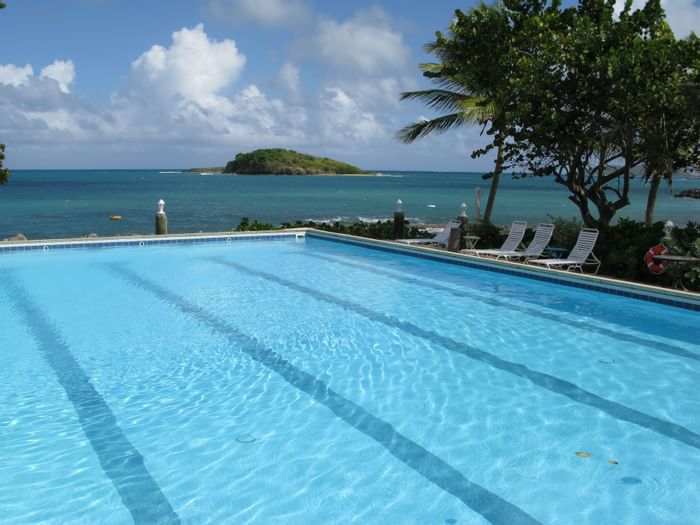 Pool with ocean view at Tamarind Reef Resort 