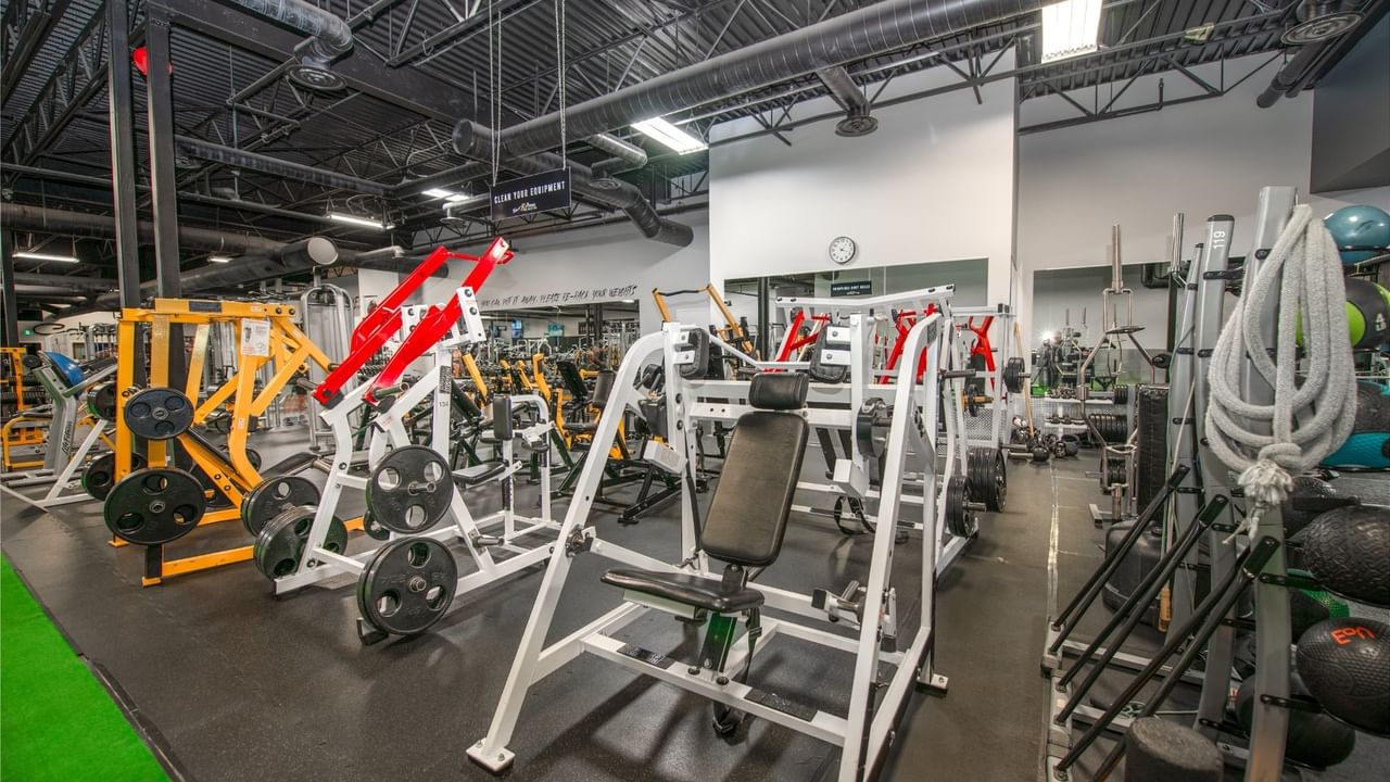 A gym with various exercise machines, weights, and equipment arranged in rows.