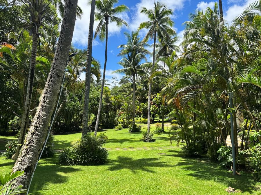 Tropical garden with lush greenery and palm trees at Warwick Fiji Resort and Spa.