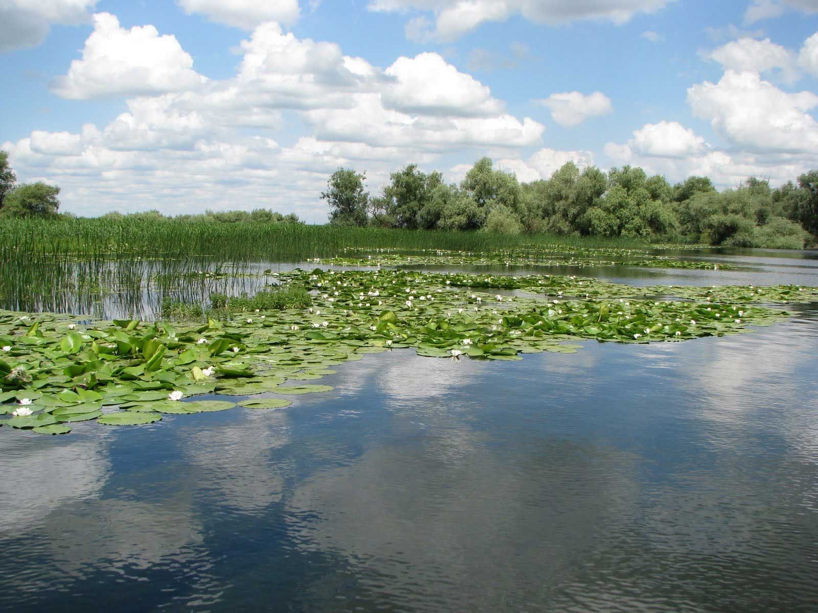 View of Danube Delta near Ana Hotels Europa