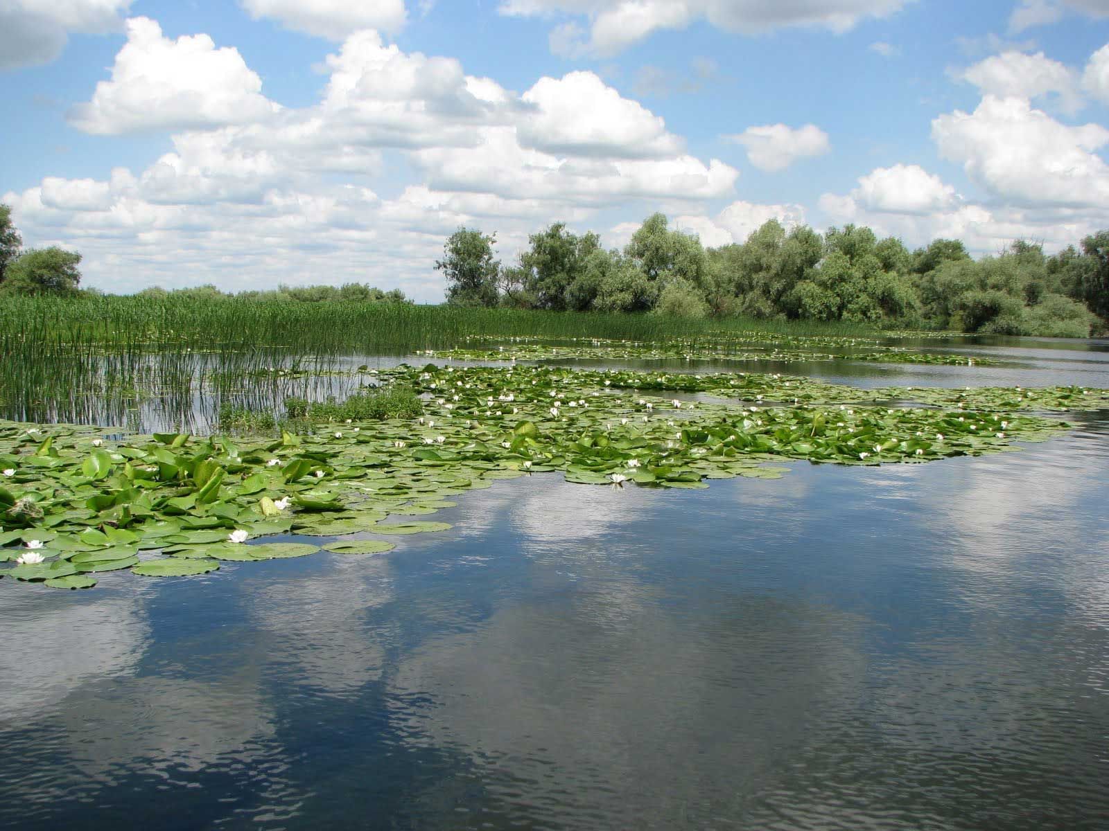 View of Danube Delta near Ana Hotels in Romania