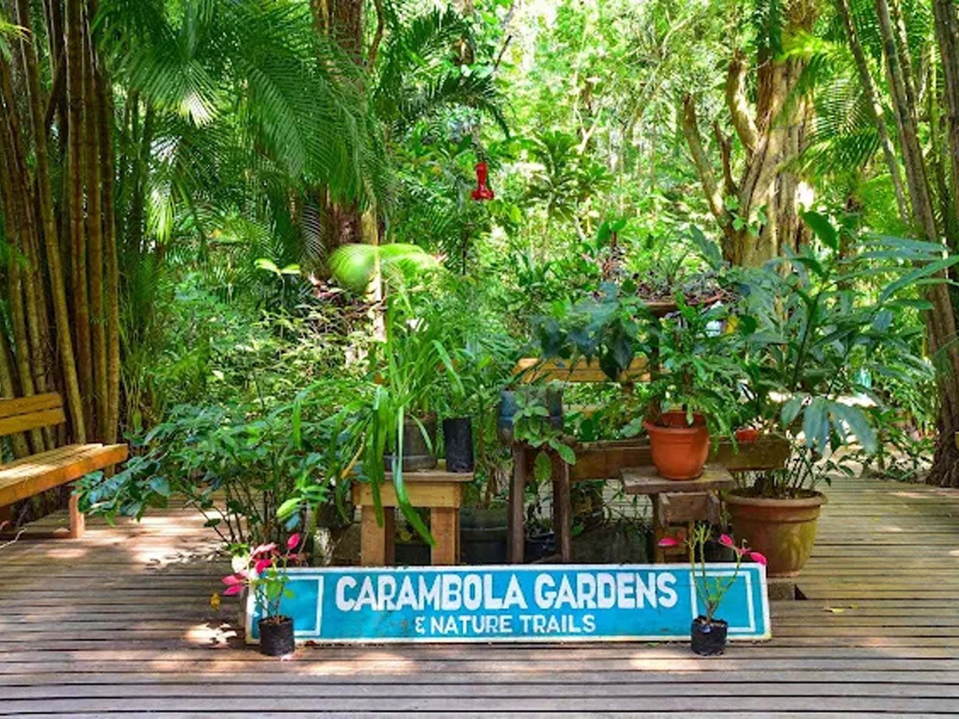 Carambola Gardens sign on wooden deck among Roatan, Honduras attractions near Barefoot Cay Resort & Marina