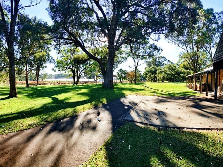 Peel Estate Winery vineyard with a large tree and green lawn under a sunny sky near The Sebel Mandurah