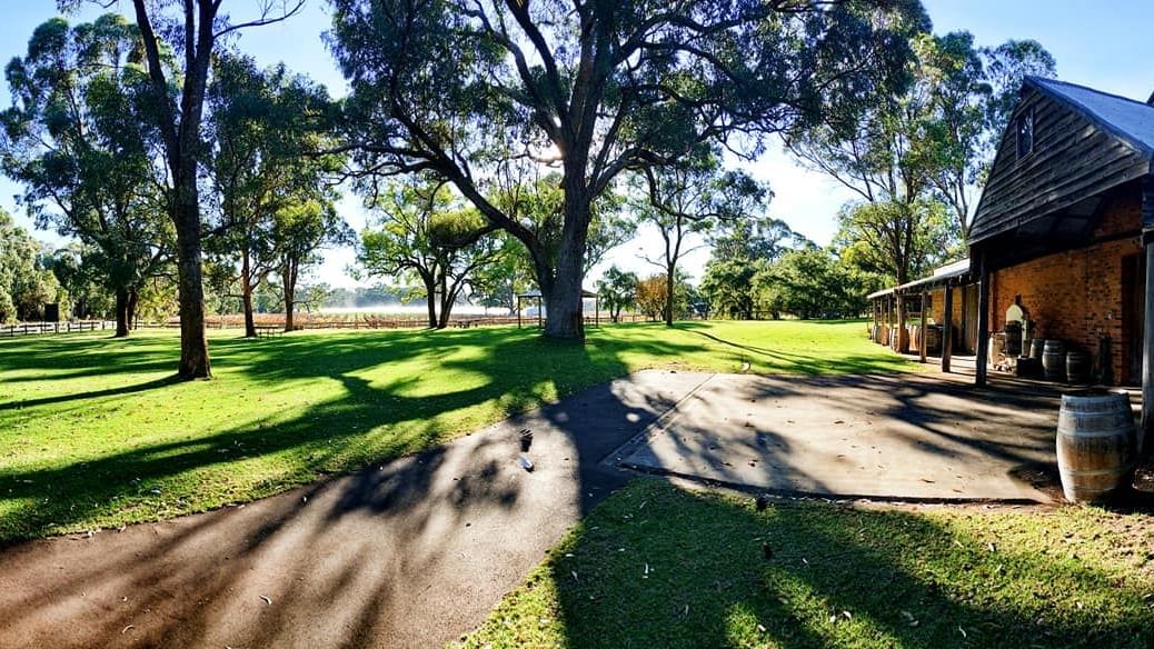 Peel Estate Winery vineyard with a large tree and green lawn under a sunny sky near The Sebel Mandurah