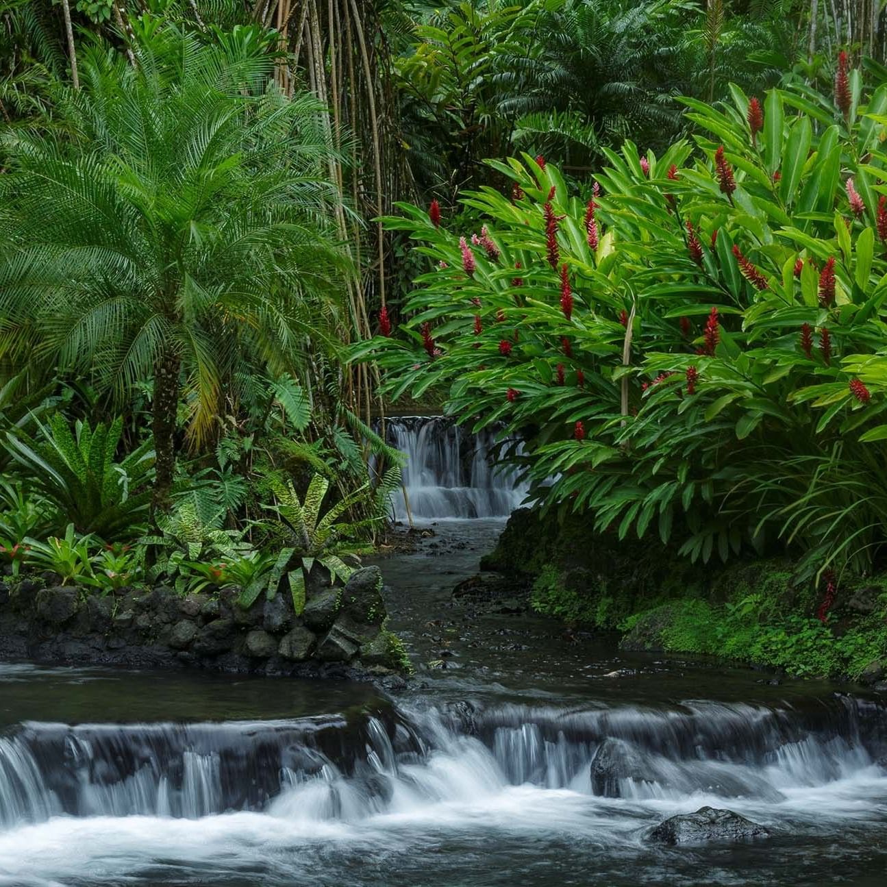 Best Natural Volcanic Hot Springs in La Fortuna 