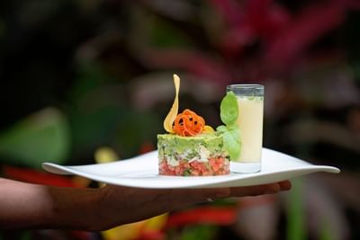 Ensalada servida en el restaurante del hotel Rio celeste Hideawa