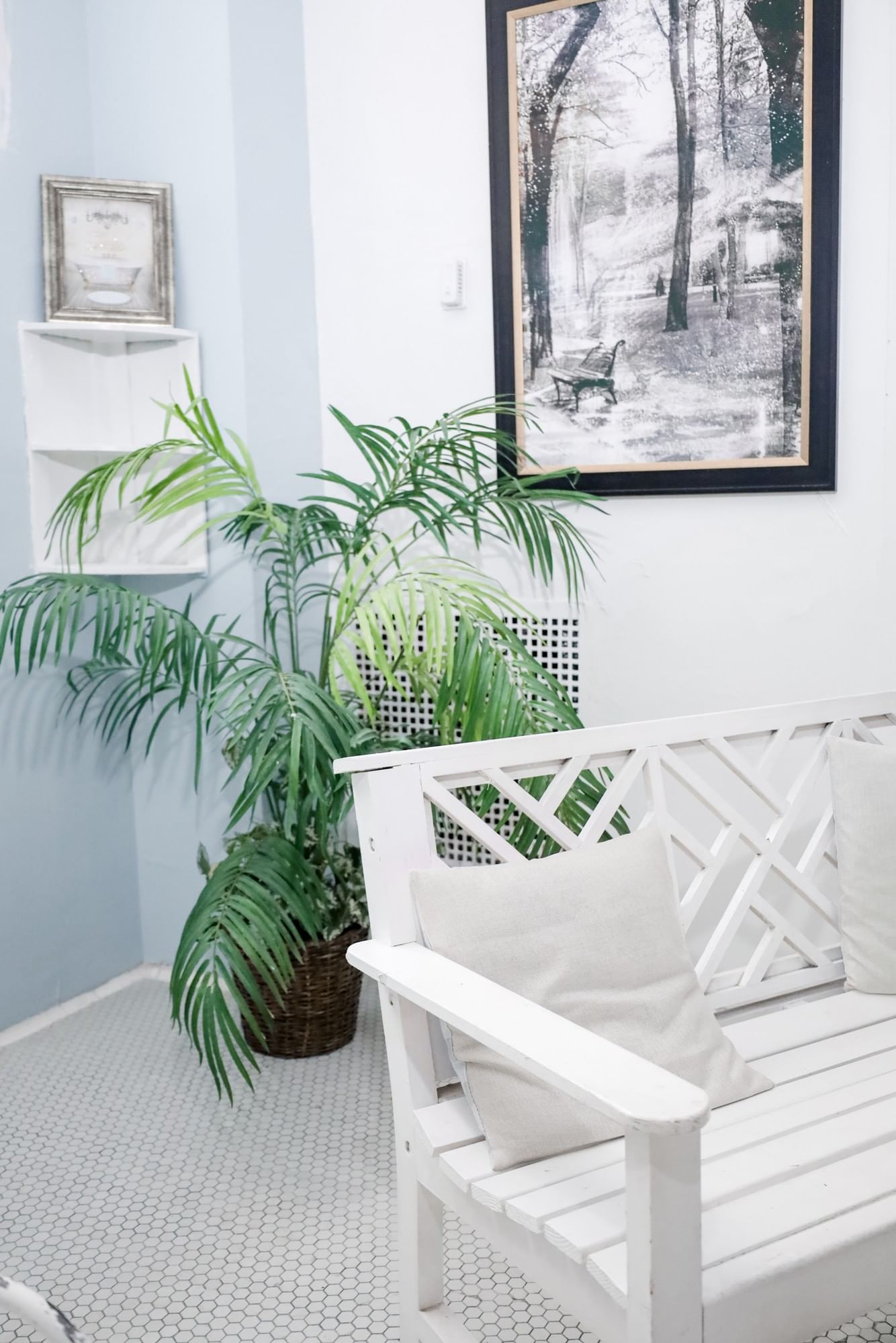 White lattice bench by a tropical palm plant under a framed nature print at Arlington Resort Hotel & Spa