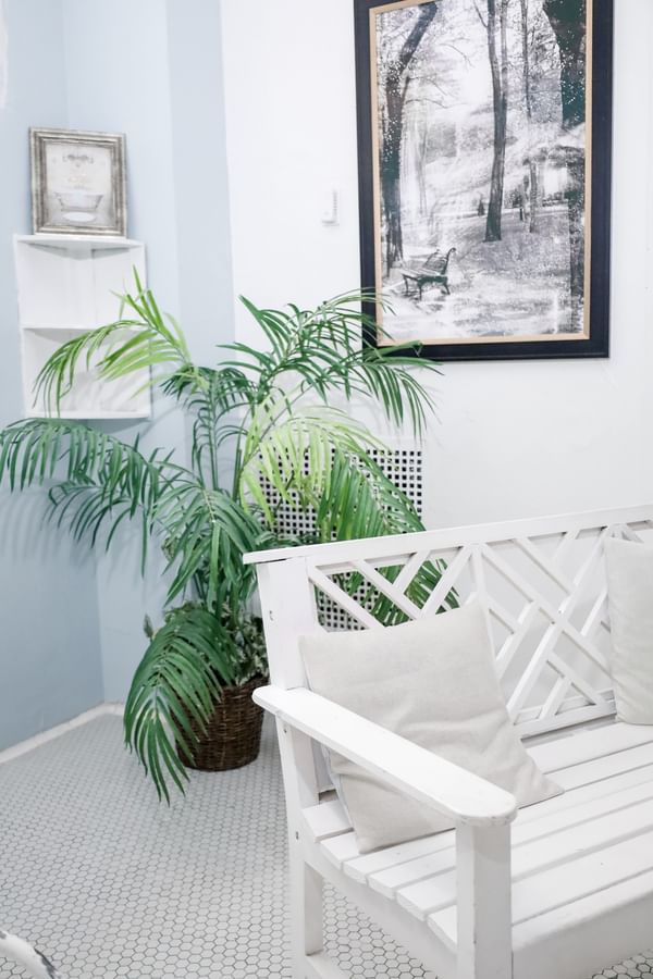White lattice bench by a tropical palm plant under a framed nature print at Arlington Resort Hotel & Spa