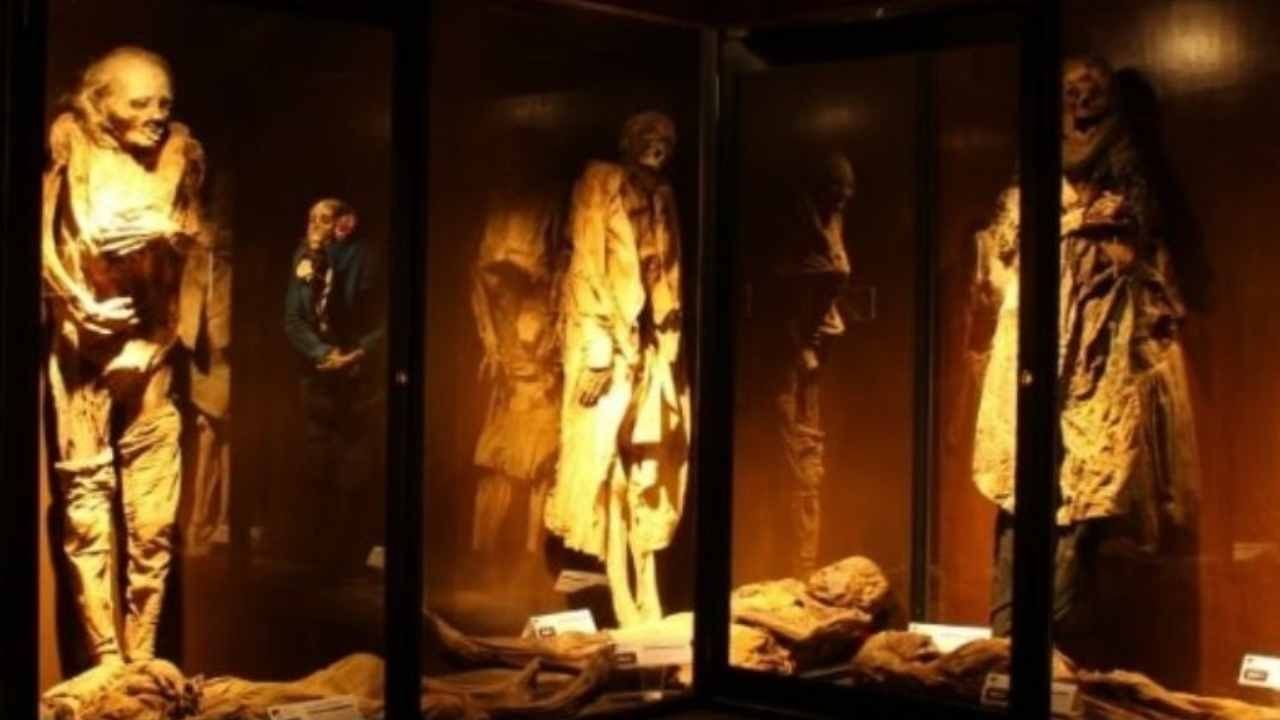 Mummified figures in glass display cases at Museo de las Momias near Camino Real Pedregal Mexico, dimly lit