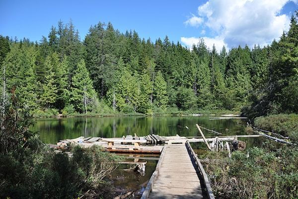 Lake, trees an a log pier