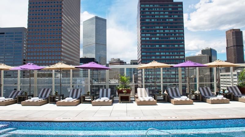 Rooftop Pool area with sun beds at Warwick Denver