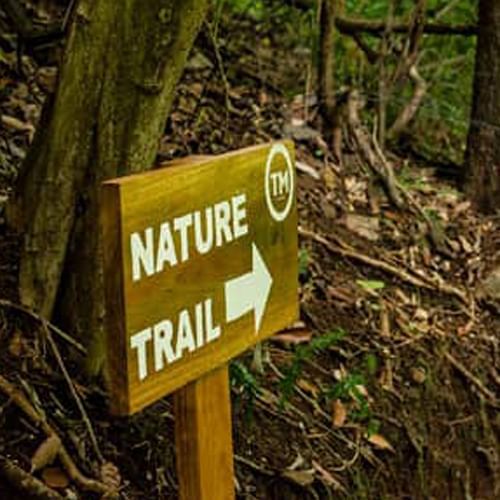 Nature trail near Tierra Magnífica Hotel in Guanacaste, Costa Rica