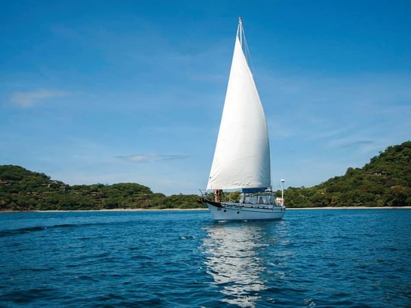 Sailing Tour