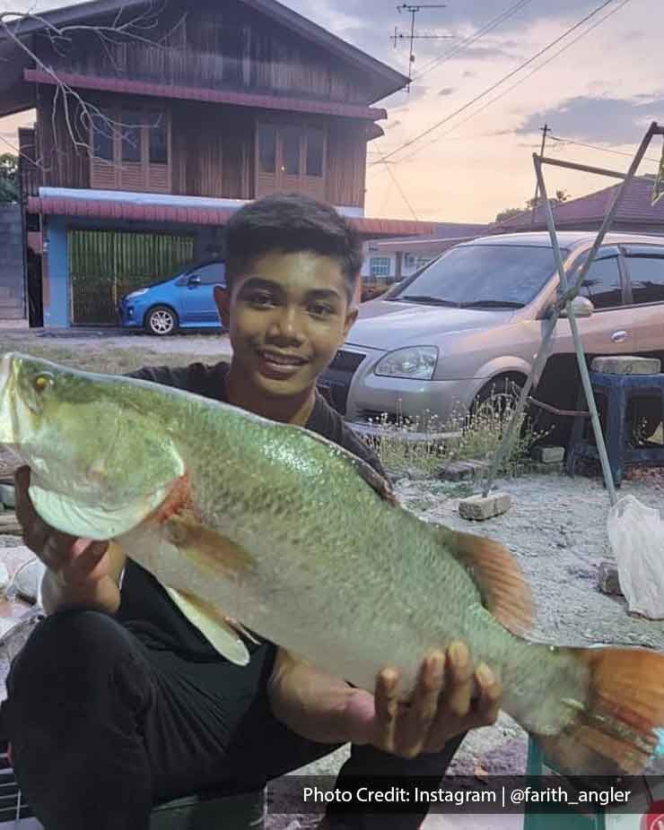 A man was holding a Barramundi fish - Lexis Suites Penang