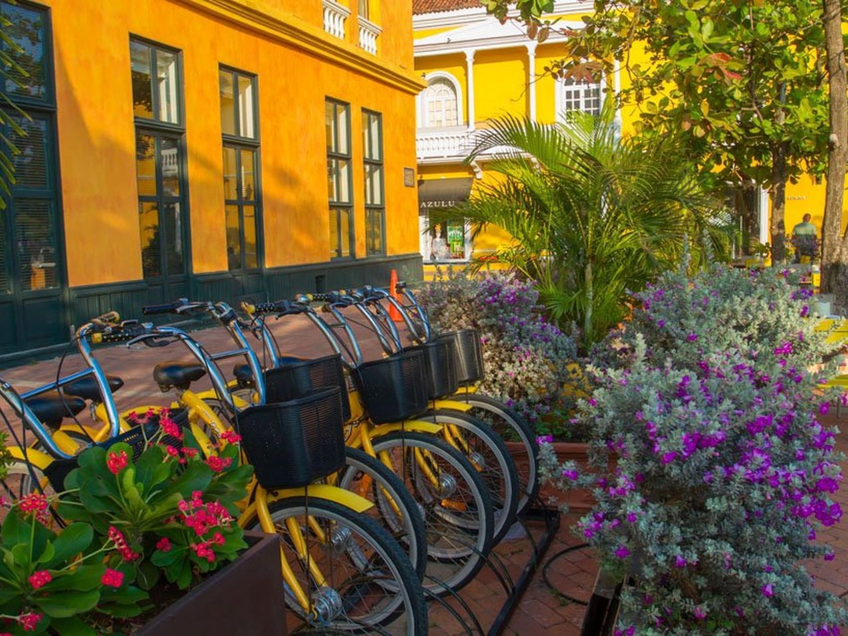 Hotel bicycles park in a row at the garden at Hotel Charleston