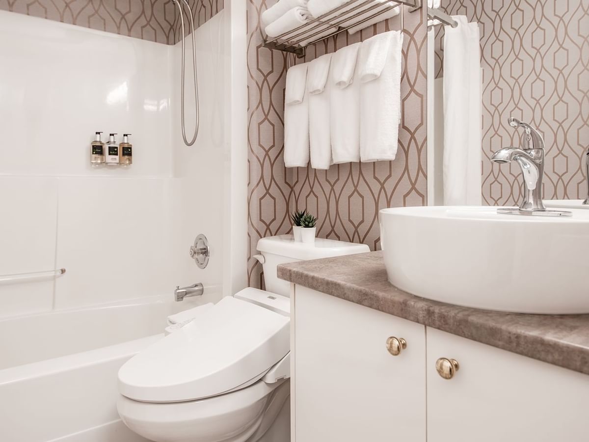 Bathroom with toilet, shower, sink, soap and towels