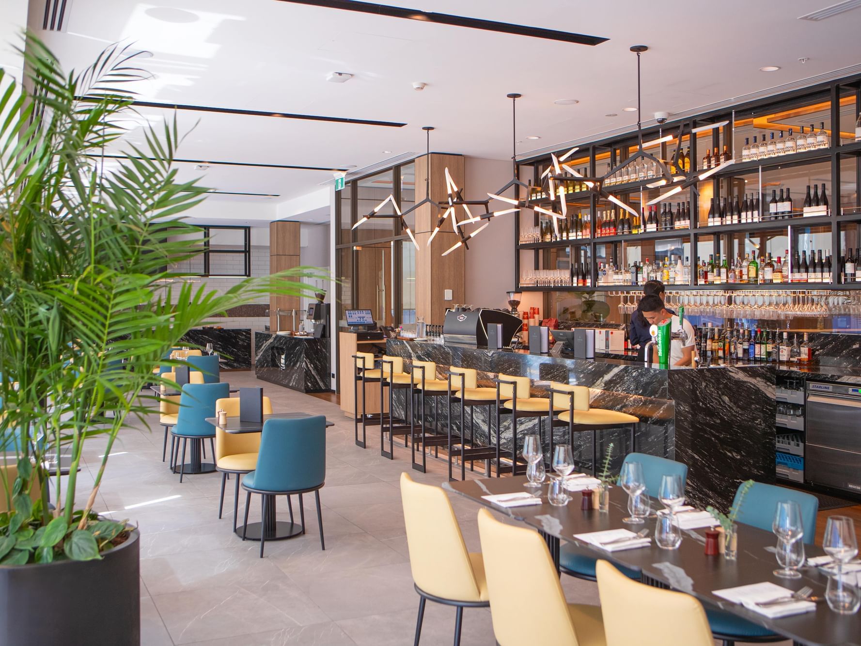 Modern bar with high stools, a lush potted plant, and shelves stocked with various liquors.