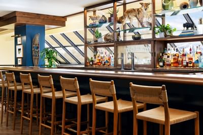 Rows of bar stools at Billy Barr at Elevation Resort and Spa in Crested Butte, Colorado.