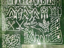 Canadian corn maze in Thamesville Maize near Retro Suites Hotel