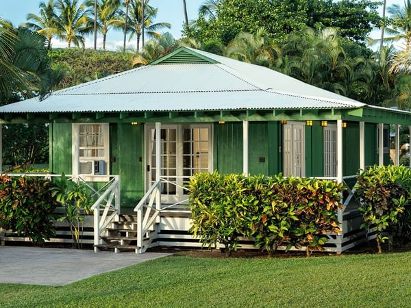 Cottage surrounded by trees