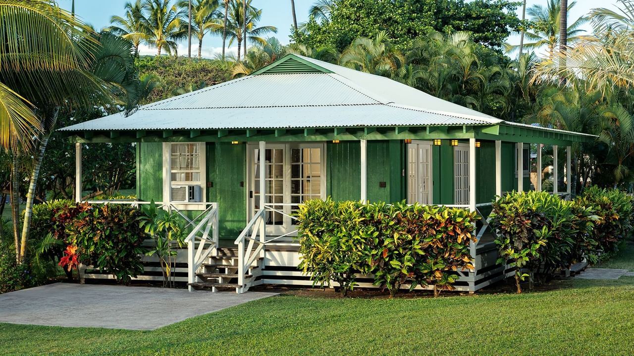 Cottage surrounded by trees