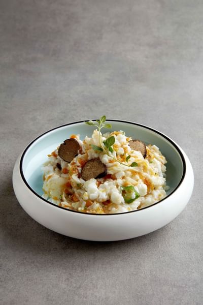 Scrambled Egg White