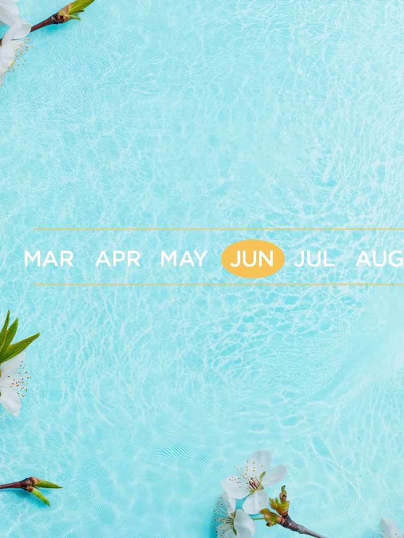 Seasonal banner with white blossoms, a yellow daffodil, and months on light blue water used at Warwick Hotels & Resorts
