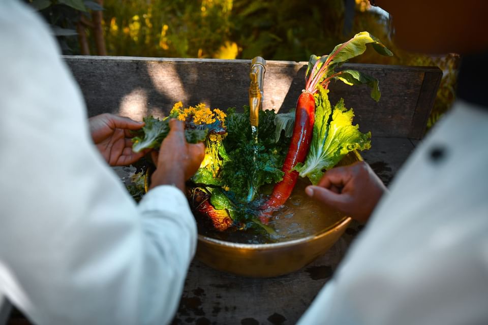 Two hands wash fresh vegetables in a golden bowl in the sunny Farm Lounge and Deck near The Dwarika's Himalayan Wellbeing