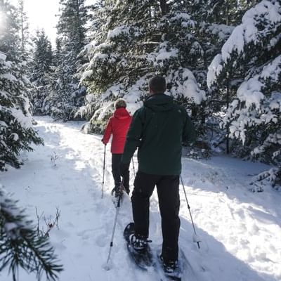 walking with snowshoes in the woods